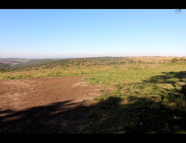 231HA FARM FOR SALE IN EAST LONDON RURAL